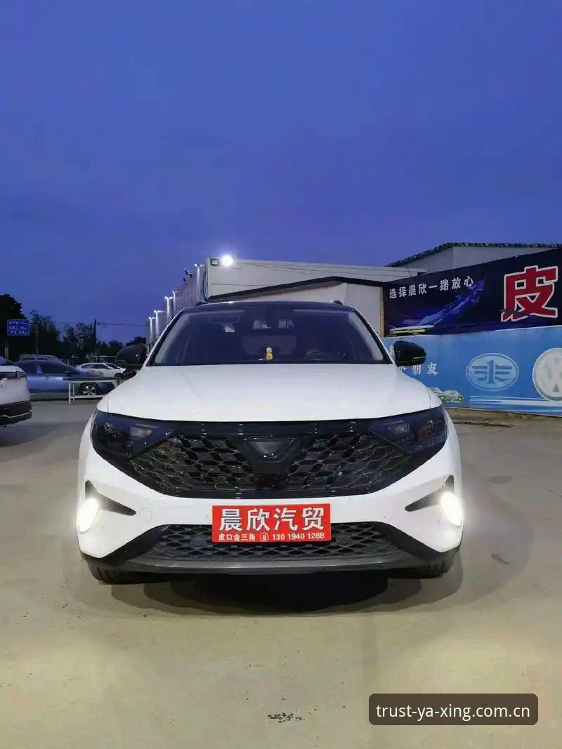 亚星最新版本下载怎么样 亚星最新版本下载 vs 旧版对比:新手该选择哪个版本更适合自己?